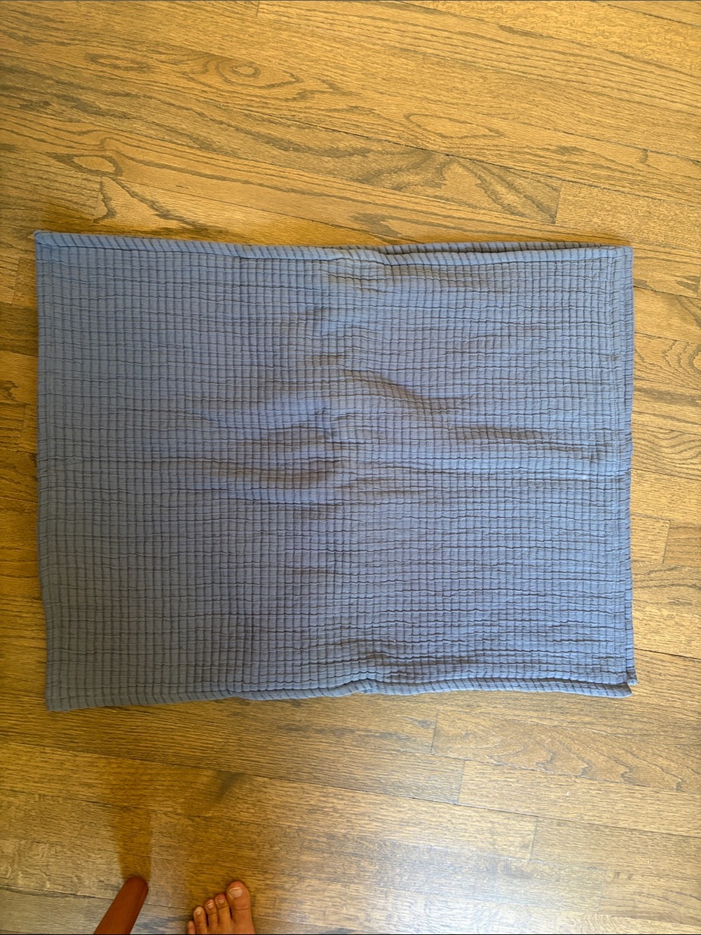 Quince pillow shams
